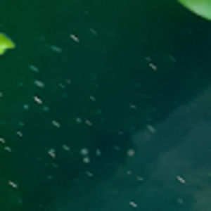 Meet your Posher, Gianna